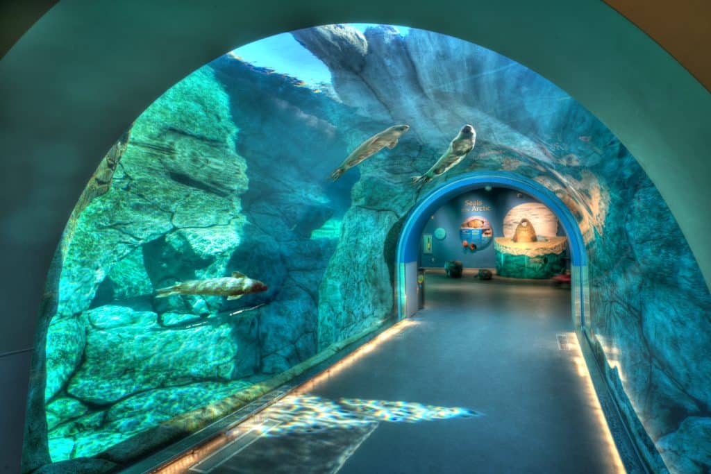 Journey to Churchill Exibit